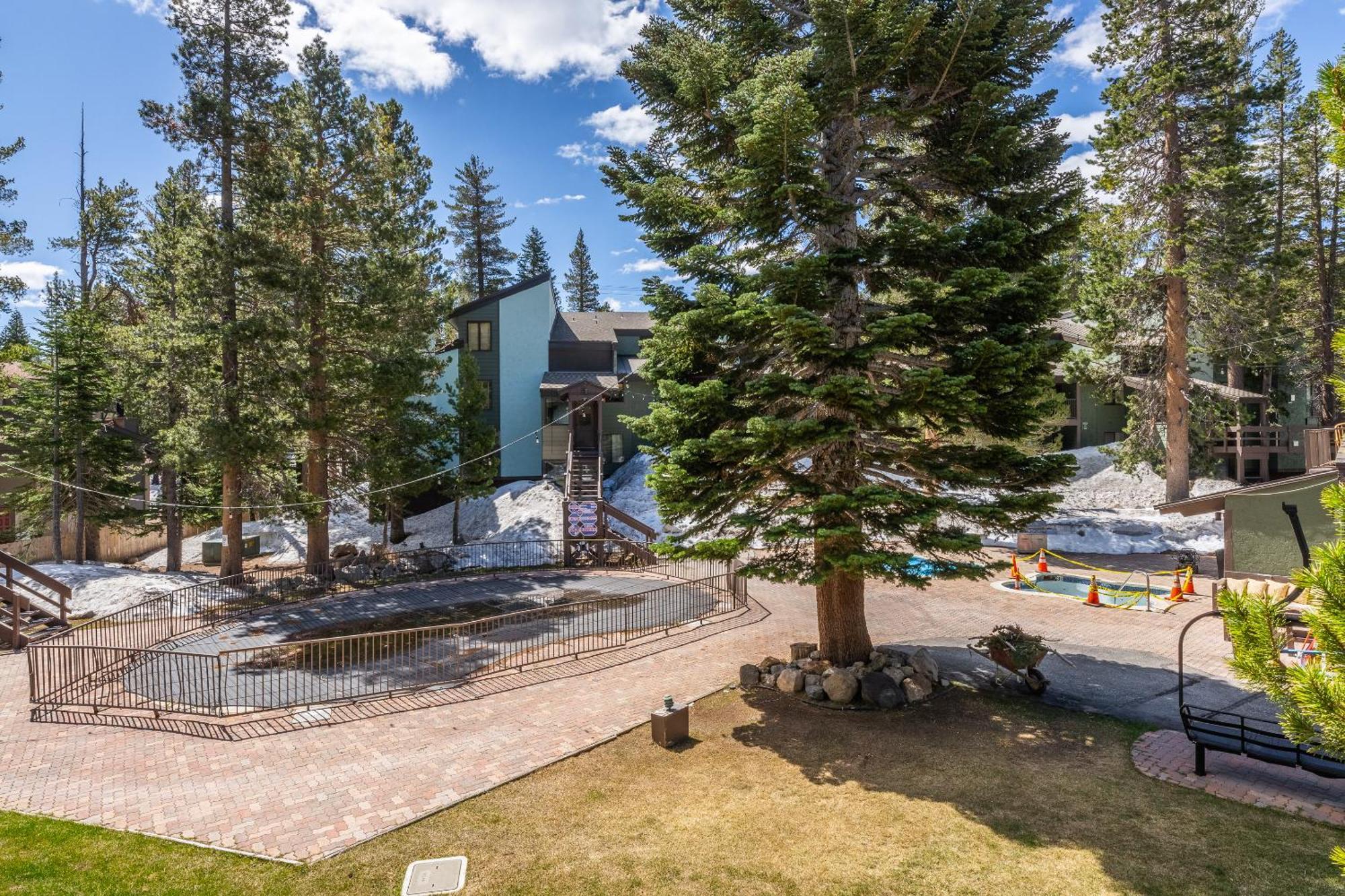 Fully Renovated! St Anton #17 Ski In Ski Out 1 Bedroom 1 Bathroom Condo! Sleeps Up To 4! Mammoth Lakes Esterno foto